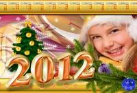 Новый год 2012 - фото 0392