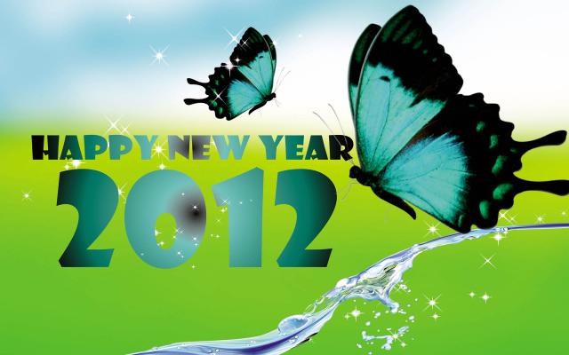 Новый год 2012 - фото 0408
