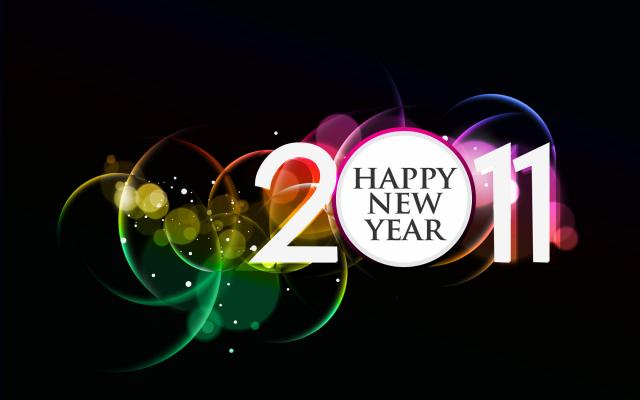 Новый год 2011 - фото 0450