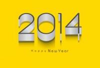 Новый год 2014 - фото 0647