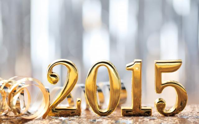Новый год 2015 - фото 0765
