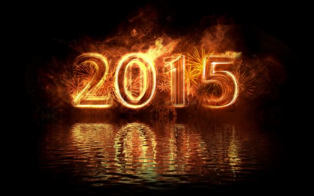 Новый год 2015 - фото 0789