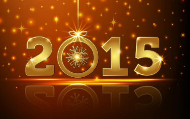 Новый год 2015 - фото 0827